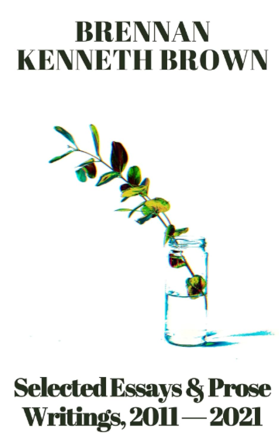 Selected Essays & Prose book cover